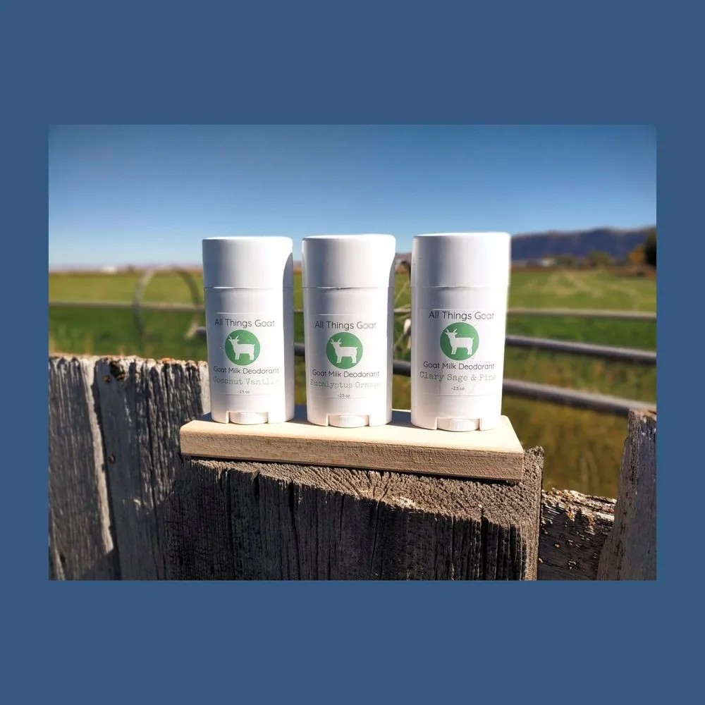 Eucalyptus Orange Natural Deodorant by All Things Goat