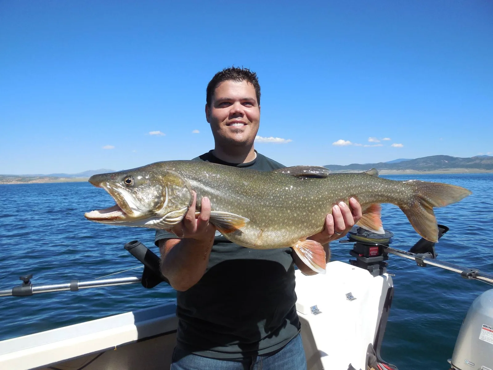 Flashy Fish Lures product photograph