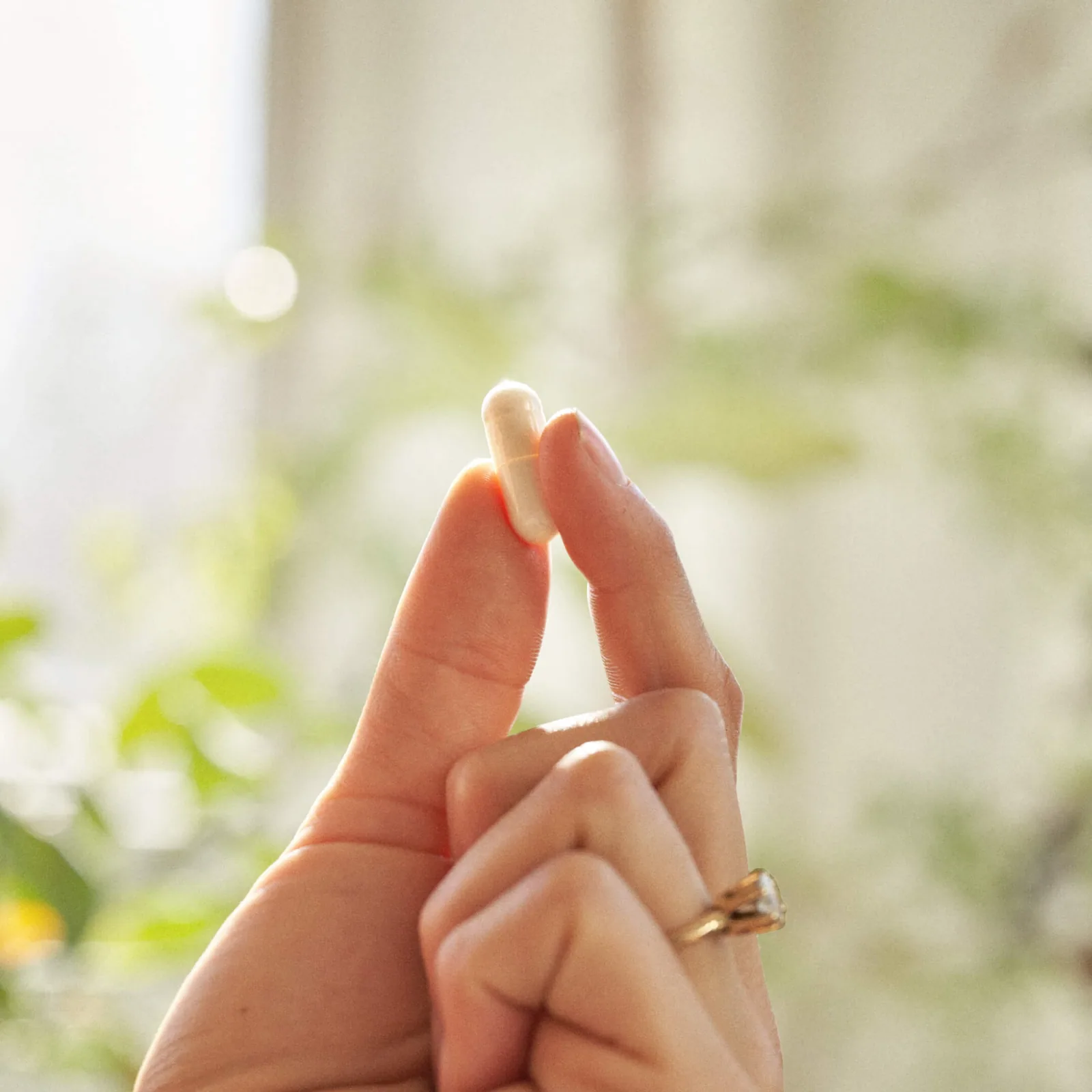 KAL product photograph