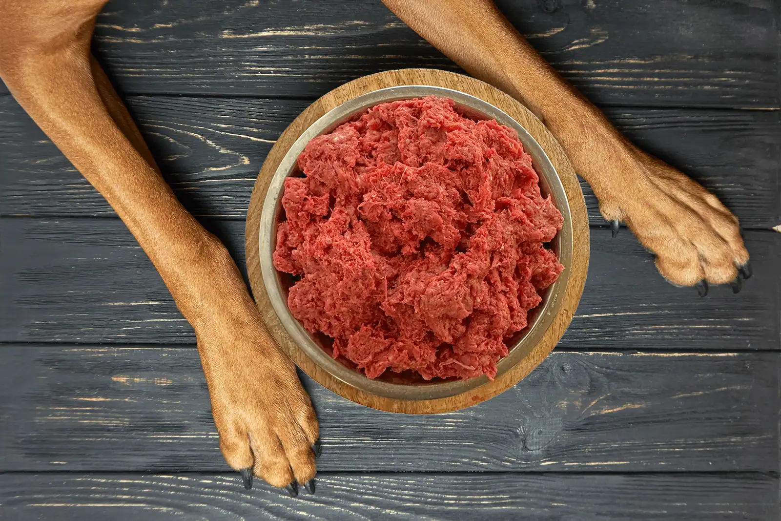 Love Your Pet Raw Foods product photograph