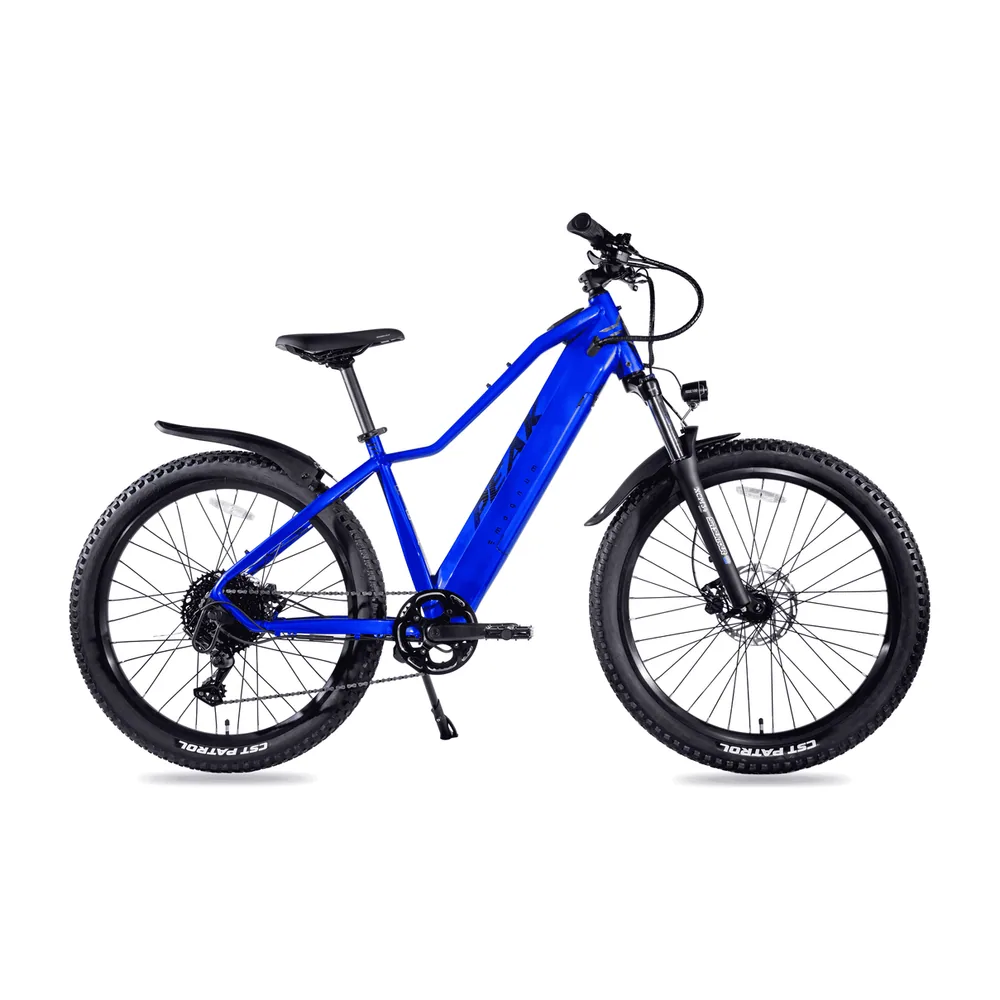 Peak 2.0 by Magnum Bikes