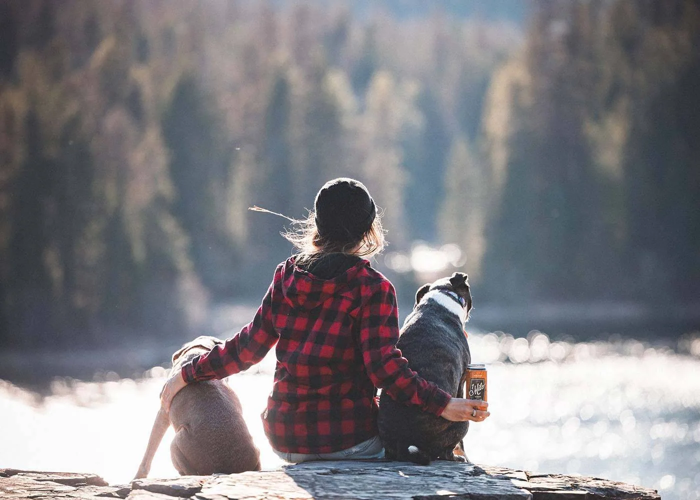 Mountain West Cider product photograph