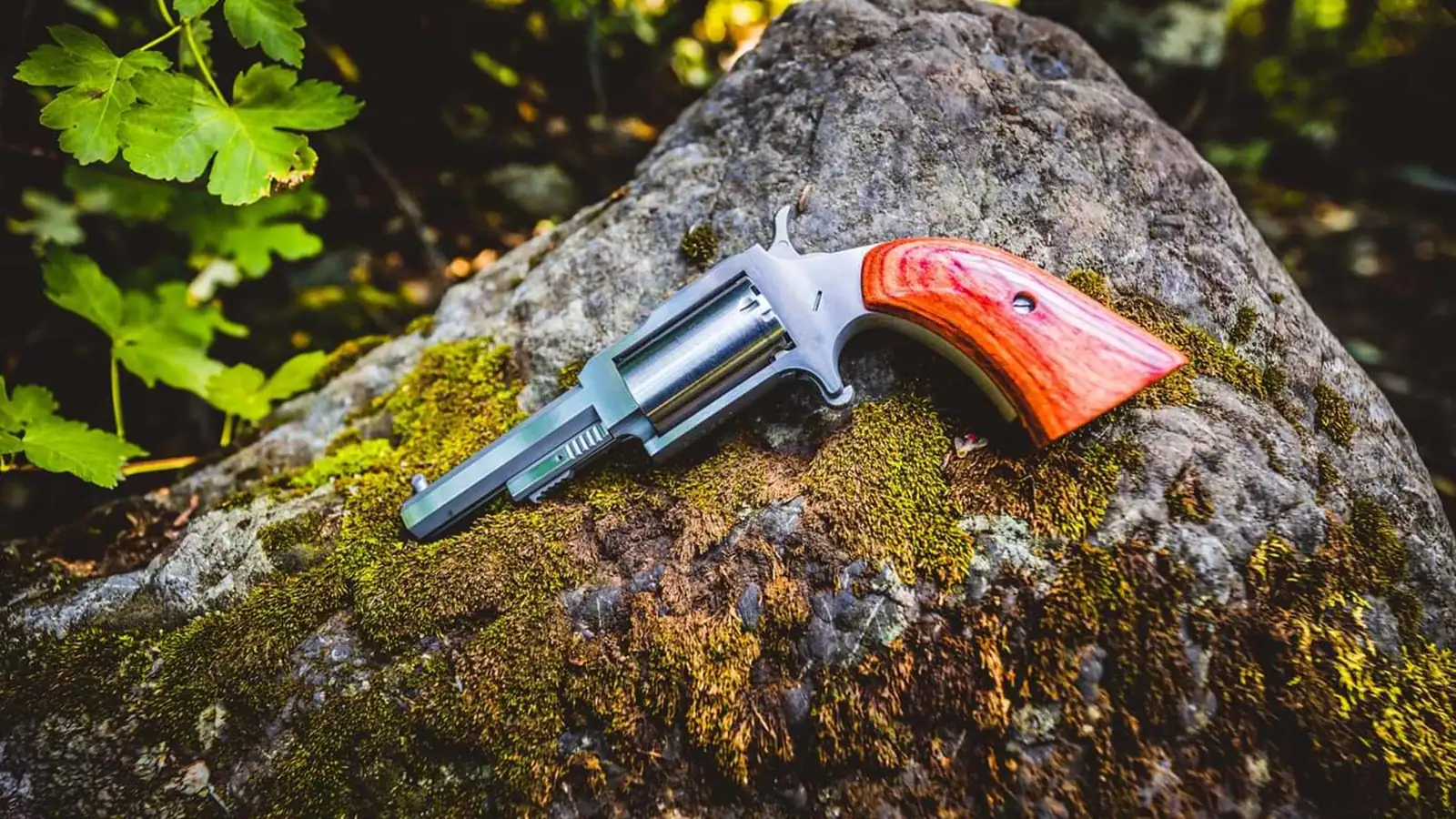 North American Arms product photograph