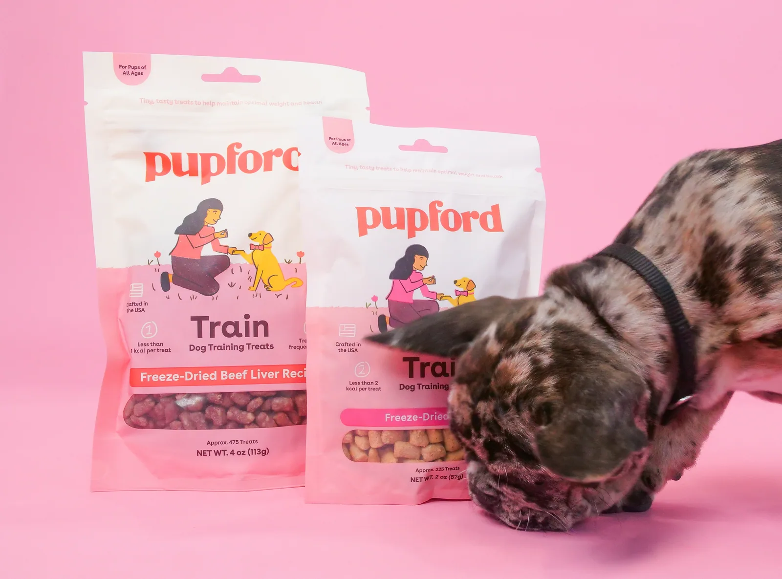 Pupford product photograph