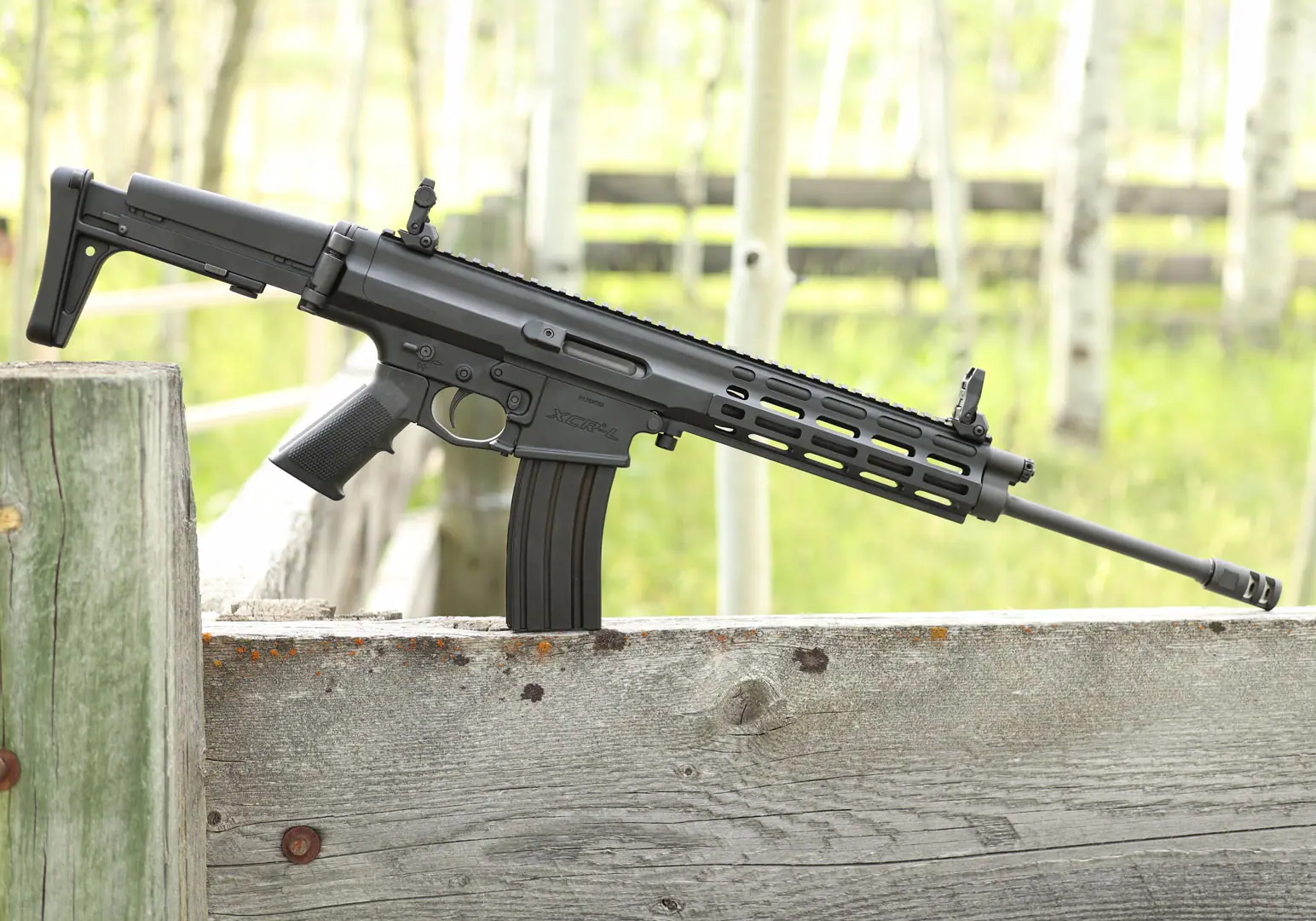 Robinson Armament Co. product photograph