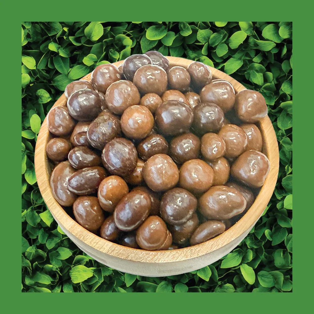Bridge Mix, Chocolate (12 oz) by The Nut Garden