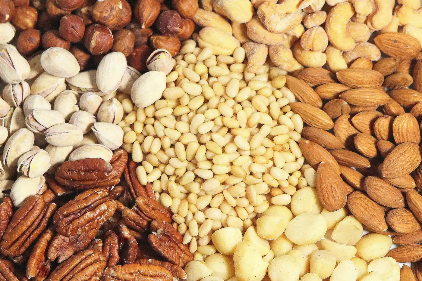 The Nut Garden product photograph